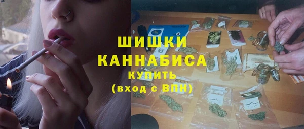прущие грибы Елизово