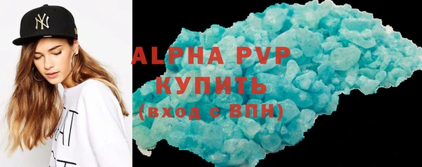 прущие грибы Елизово