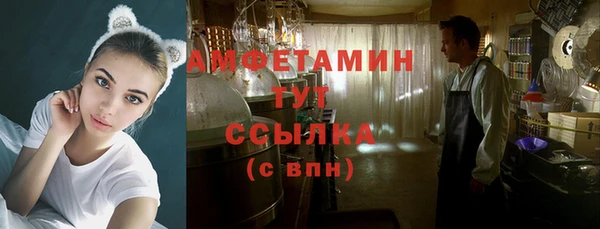 прущие грибы Елизово
