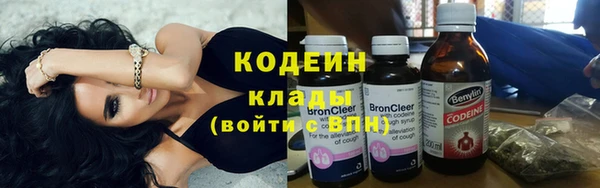 прущие грибы Елизово