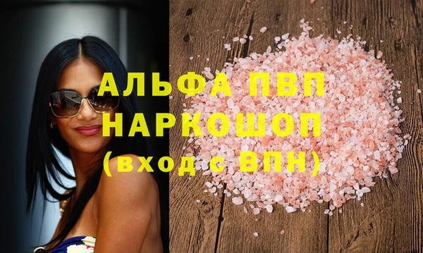 прущие грибы Елизово